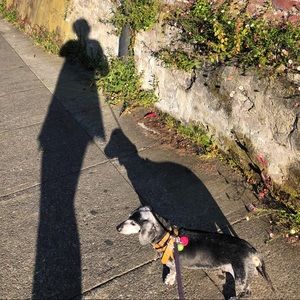 Meet your Posher, Ramona